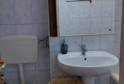 Apartament 2 camere Dristor - metrou, stradal, mobilat si utilat complet, liber - 9