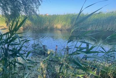 Teren intravilan 4.200 mp Murighiol - 12