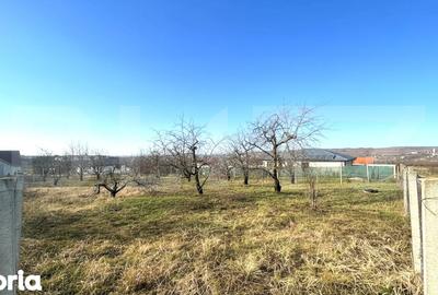 Teren de 1000 mp, în Oncea - 3