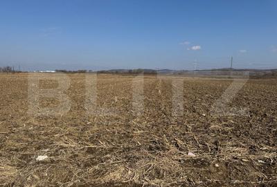 Teren intravilan, 2900 mp, zona Soseaua de centura - 3