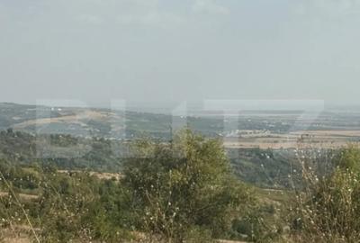 Casă cu 2 camere cu Teren 1700 Mp în Seciu - 3