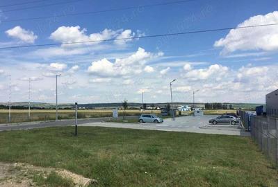 Teren de 9981 mp, în Șura Mică - 1