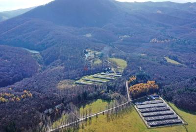 Teren Intravilan - Amplasare Unica - 17