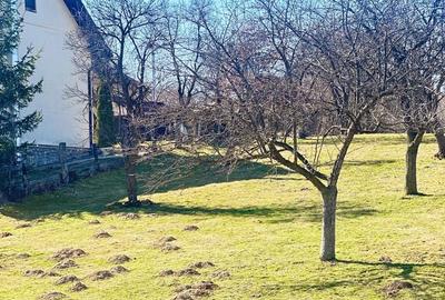 Teren de 10660 mp, în Bran - 4