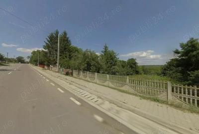 Casă cu Teren 2700 Mp în Iazu Nou - 4