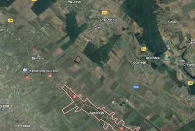 Teren agricol 13,5 hectare | Tartasesti | Ciocanesti | DB - 3