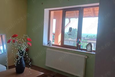 Vanzare vila Stefanesti Arges - 2