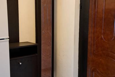 2 camere mobilat- utilat complet! Bulevardul Timișoara ! - 10