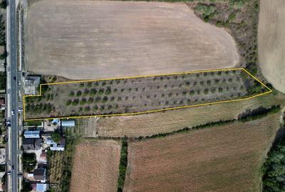 Vanzare teren 9654 mp, deschidere 27m, comuna Dobra, sat Dobra - 2