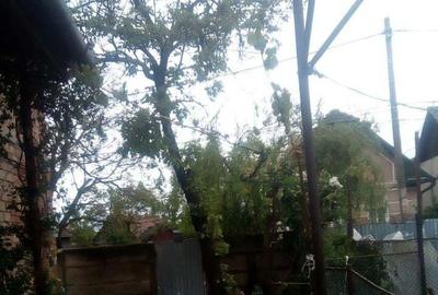 Casă cu 4 camere în Luna - 4