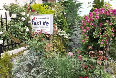 Casă cu 1 camere cu Teren 16 Mp în Central - 1