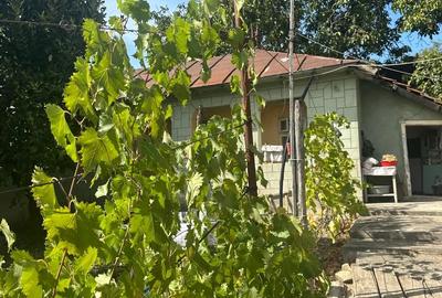 Casă cu 2 camere în Zărnești - 9