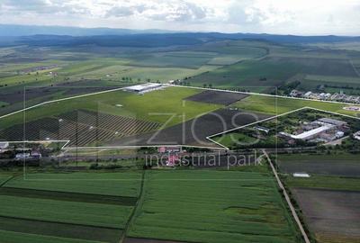 Teren industrial de vânzare intravilan, PUZ, utilități, drum asfaltat Teren industrial de vânzare intravilan, PUZ, utilități, drum asfaltat - 3