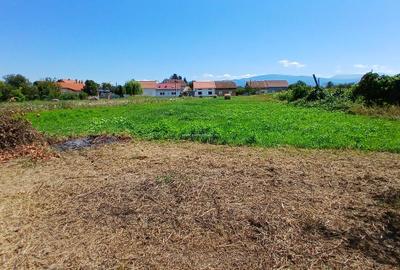 Casă individuală cu 7 camere cu Canalizare în Sud - 6