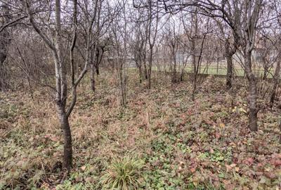 Casă cu 2 camere cu Canalizare în Dâmbul Rotund - 10