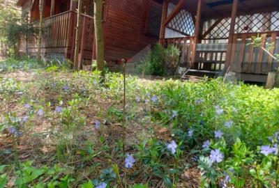 Casă cu 2 camere cu Teren 113 Mp în Reci - 3