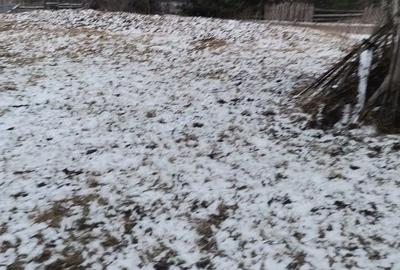Teren de 10000 mp, în Sadova - 3