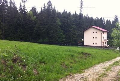 Teren intravilan Cotul Donului,pretabil Hotel/pensiune. - 14