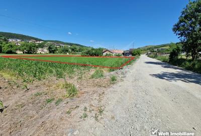 Teren intravilan 2000 mp – Popesti (Baciu) Ideal pentru casa, gradina si livada - 2