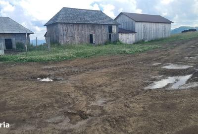 Teren de 470000 mp, în Moisei - 7