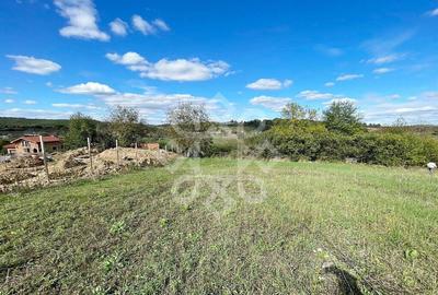 Teren intravilan 5995 mp in Hidiselu de Sus - 3