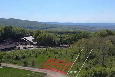 Teren de 850 mp, în Central - 5