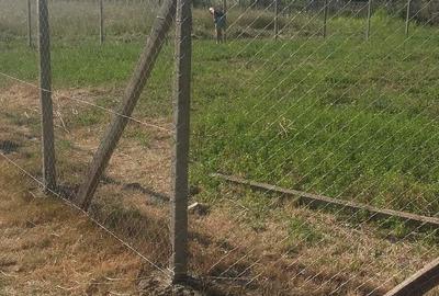 Teren de 500 mp, în Sud - 2