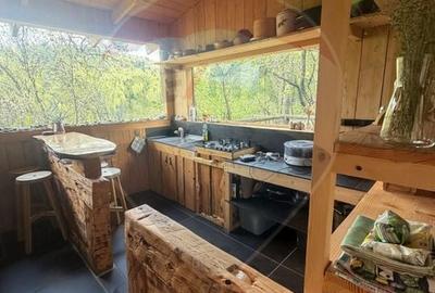 Casă cu 14 camere cu Teren 62330 Mp în Horea - 21
