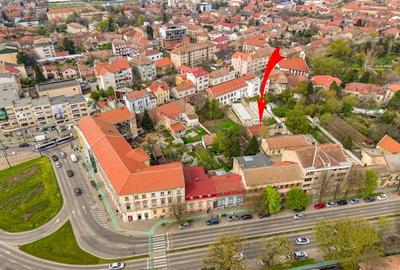 Apartament pentru tineri, la curte comuna cu 2 vecini- Elisabetin, Timisoara - 19