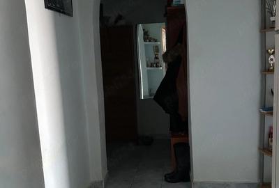 Apartament cu 2 camere decomandat în Nicolae Grigorescu - 3