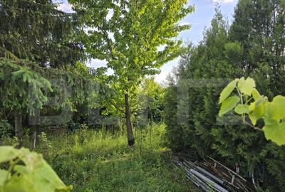 Teren extravilan, 2000 mp, zona Aquastar - 5