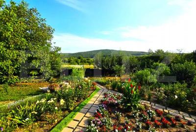 Casă cu 5 camere cu Teren 1000 Mp în Bucium - 14