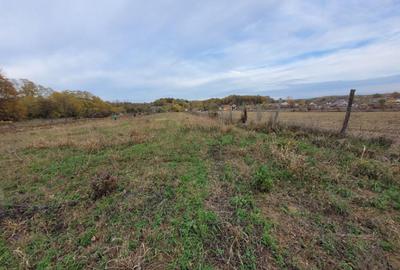 Teren intravilan, 4967 mp, utilita?i, sat Rasova, Bale? - 8