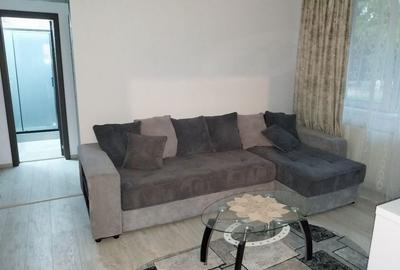 Apartament cu 2 camere semidecomandat în Craiovei - 14