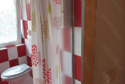 Vind casa in comuna Varias la 40 km de Timi?oara - 9