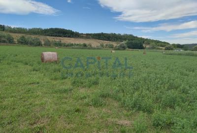 Comision %! Teren intravilan 22 400 mp, suprafata plana, sat Fundatura Cluj - 3