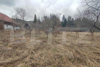 Casa individuala ,2500 mp teren, in Putna - 12