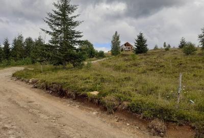 Teren de 1000 mp, în Măguri - 8