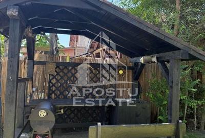 Pensiune amenajata 6 camere, 6 bai, 2 bucatarii, in Delta Dunarii - 41