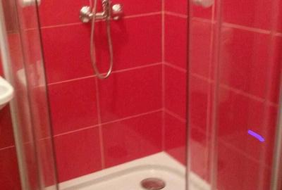 Garsonieră nedecomandată în Buziașului