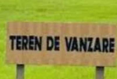 Spațiu comercial, în Zimandcuz - 1