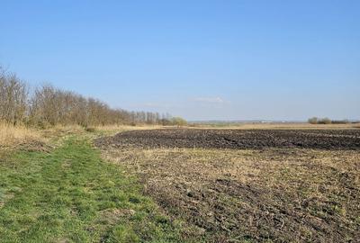 Spațiu comercial, în Biharia - 4