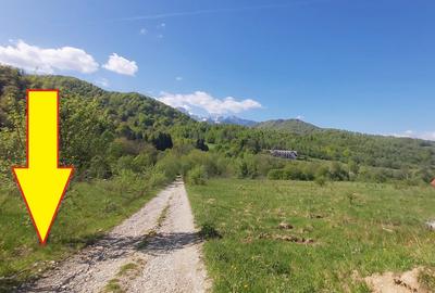 Vanzare 1266 mp teren superb Cheile Rasnoavei la munte langa padure si pensiuni - 15