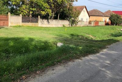Casă cu 4 camere în Șicula - 4