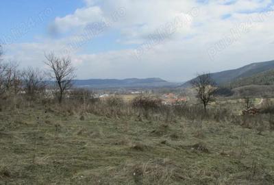 Teren arabil , fana? , livada langa padure situate in Turda? ?i Le?nic - 2