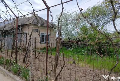 Casă cu 5 camere cu Teren 8481 Mp în Soreni - 5