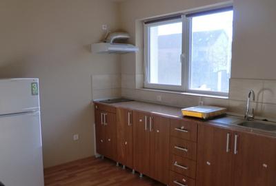 Apartament cu o camera Buziasului Apartament cu o camera Buziasului - 3