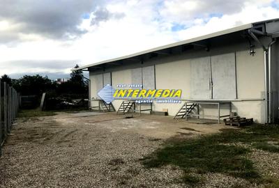 Spațiu industrial, de 200 mp, în Ampoi 3 - 1