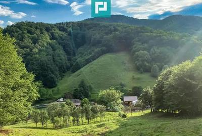 Teren pentru investi?ii in Luncoiu de Jos - 5