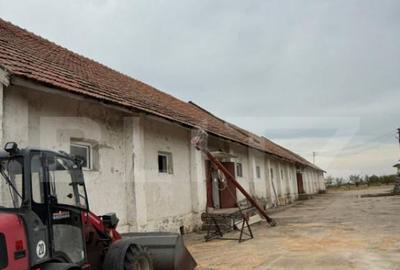 Ferma de Vanzare in judetul Timis, la nord est de Timisoara, - 14